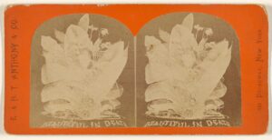 beautiful in death (inspirado en mandarino di amalfi de tom ford)