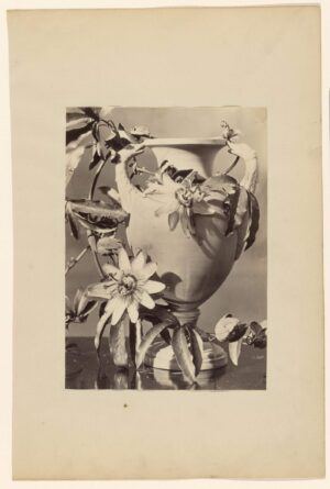 vase with passion flowers (inspirado en rumba de balenciaga)