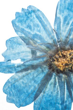 alexandru-ant (inspirado en lolita lempicka woman de lolita lempicka)